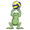 Grenouille avec volley-ball