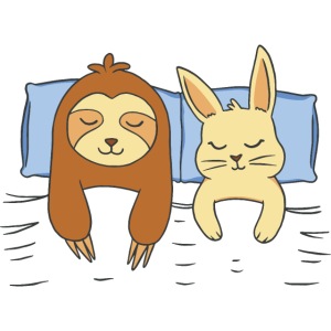 Schlafendes Faultier und Hase