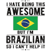 Brazilian Brazil Brazilian origin