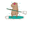 Caviidae Guinea Pig Surfs Rodent