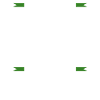 Terrarium Echse Echsen