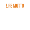 Software developer