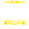 Eidechse Salamander Feuersalamander