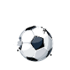 Fußballtrainer
