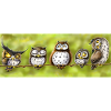 Coupe Hibou