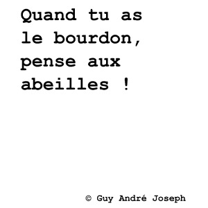 Quand tu as le bourdon pense aux abeilles