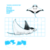 Manta rays Datasheet