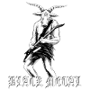 black metal, baphomet con chitarre elettriche, musicisti, git