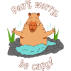 Capybara Meditation capybara funny saying