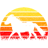 Shetland Pony Shetland Pony Sunrise