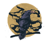 Black Crow Raven Bird