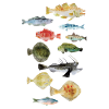 Poissons de la mer