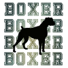 Disco Retro Boxer Dog