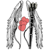 Sagittarius Bow Hunts Hunter Archer Love