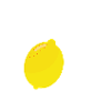 Zitronenfalter