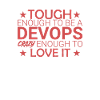 "DevOps Crazy | Softwareentwicklung"