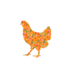 Hühner Flüsterin