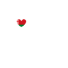 I love Belarus Flag