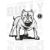 Bouledogue américain