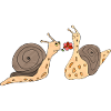 Snails