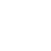 Programmer
