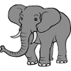 Large grey elephant