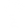 ScoliTree blanc