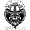 Viking Valhalla Saying Skull Gift