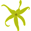 Fleur Ylang Ylang