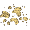 Cashew Cashew Nuts nuts