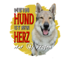 Tschechoslowakischer Wolfshund