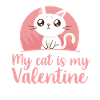 Saint-Valentin Saint-Valentin