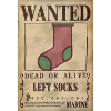 A lost sock