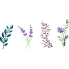 spring flowers gift idea