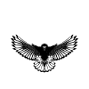Sambo Daghestan Lutte
