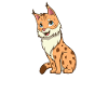 Kawaii Lynx