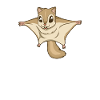 Kawaii Flying Squirrel