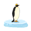 Pinguin