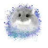 dwarf hamster,hamster,grey,graffiti,painting,blue