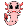 Axolotl