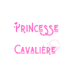 c'est compliqué princesse et cavalière humour