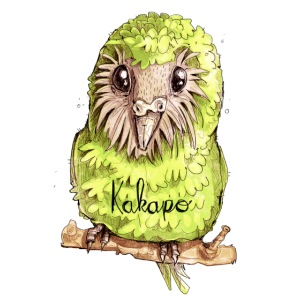 Kakapo Bird - The Parrot from New Zealand