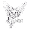 Kakapo T-Shirt - Save the Kakapo