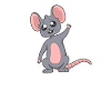 Kawaii Rat