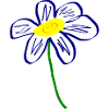 Blaue Blume Geschenk für sie 