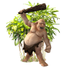 Troll