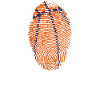 Basket-ball