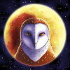 Hibou devant la lune