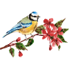 Bunter Vogel