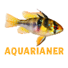 Ich bin Aquarianer...